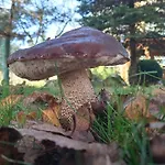 Pod Debem Hétvégi ház