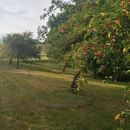 Pod Debem Летний дом