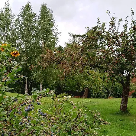 Pod Debem Casa rural Jonkowo