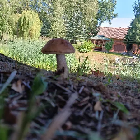 Летний дом Pod Debem