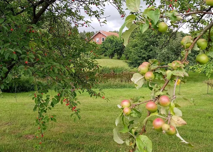 Pod Dębem Gospodarstwo wiejskie *