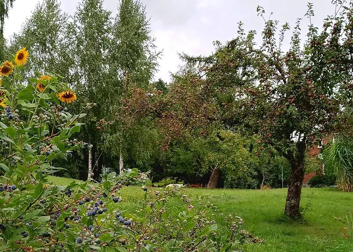 Pod Debem Landhaus Jonkowo